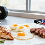 Protein Kreatin